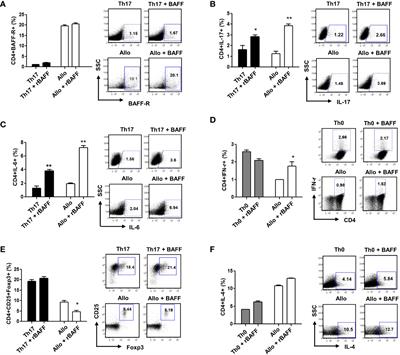 BAFF blockade attenuates acute graft-versus-host disease directly via the dual regulation of T- and B-cell homeostasis